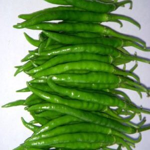 HOT PEPPER / F1 Hybrid Mariya